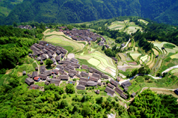 三都網站建設