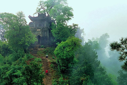西鄉(xiāng)網站建設