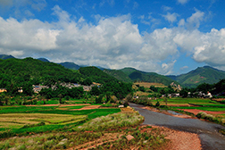 鎮沅網站建設