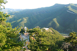 中陽(yáng)網(wǎng)站建設(shè)