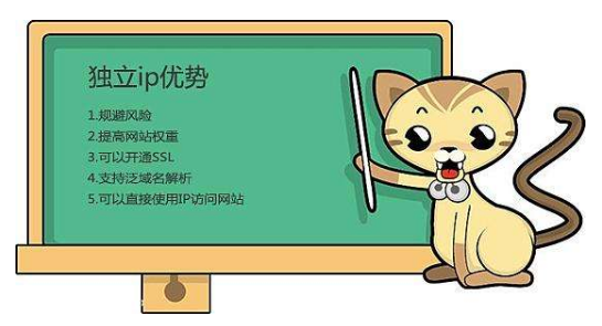 虛擬主機有獨立IP嗎？