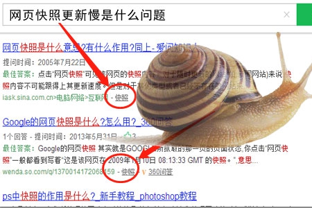 網(wǎng)頁(yè)快照更新不及時(shí)是什么問(wèn)題？
